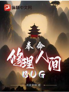 奉命修理人间BUG