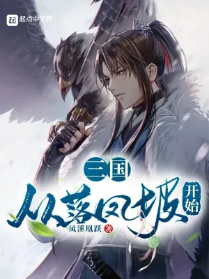 三国：从落凤坡开始赵统