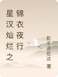 星汉灿烂之锦衣夜行