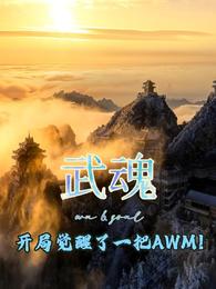 武魂：开局觉醒了一把AWM！