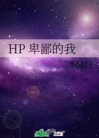 HP 卑鄙的我