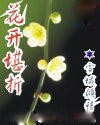 花开堪折