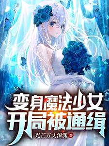 变身魔法少女，开局被通缉凌云雨桐