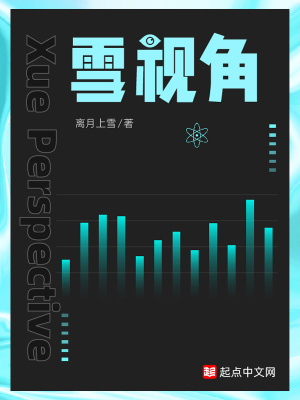 雪视角