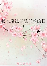 我在魔法学院任教的日子