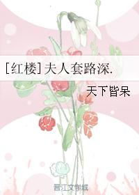 [红楼]夫人套路深