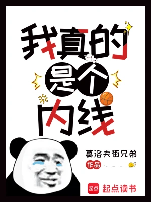 我真的是个内线