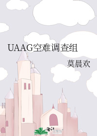 UAAG空难调查组